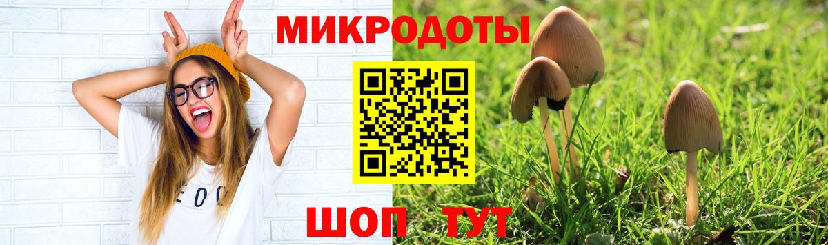 Псилоцибиновые грибы Cubensis  Галлюциногенные грибы Psilocybe  Вход с VPN  Малоярославец 